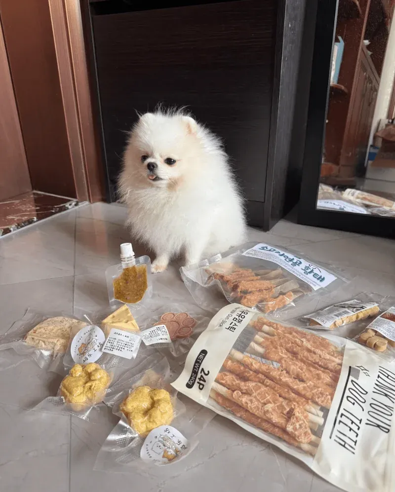 Mastering Mealtime: Proven Tips for Fussy Pets