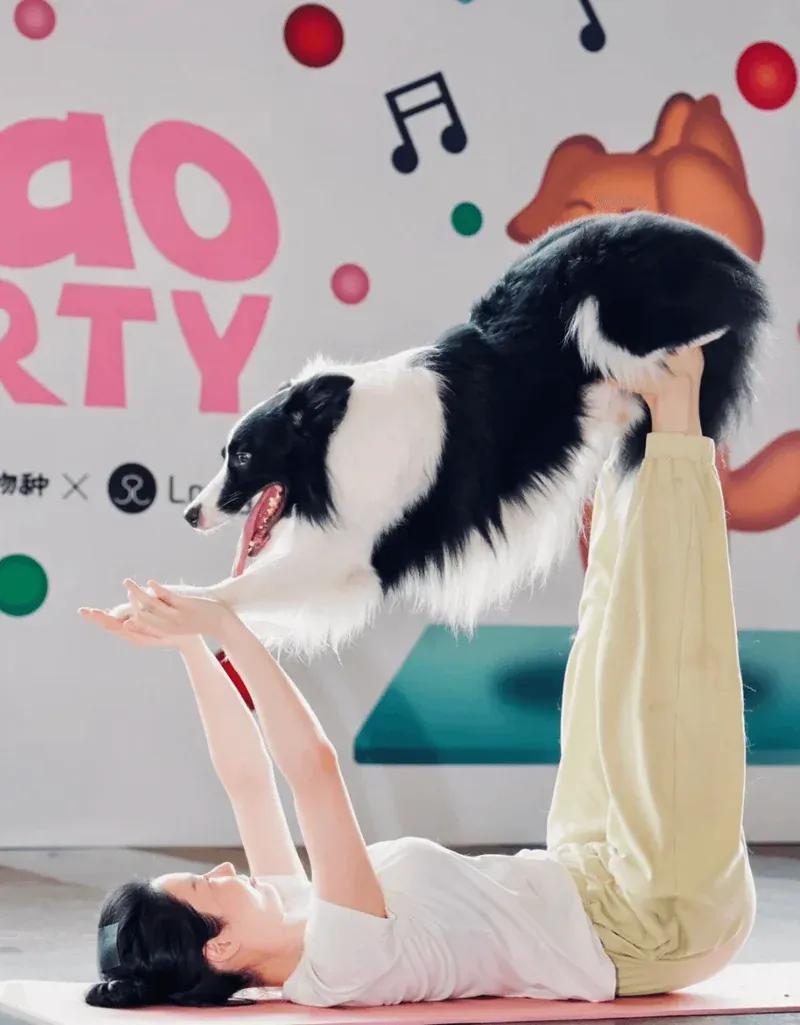 The Comprehensive Guide to Enhancing Your Dog's Well-being