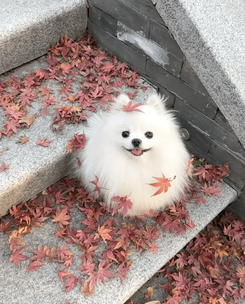 Parasite Prevention Reminder