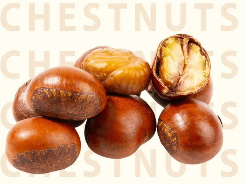 Can Dogs Safely Snack on Chestnuts? What You Need to Know